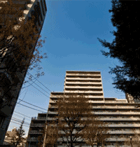 ネットで選ぼう